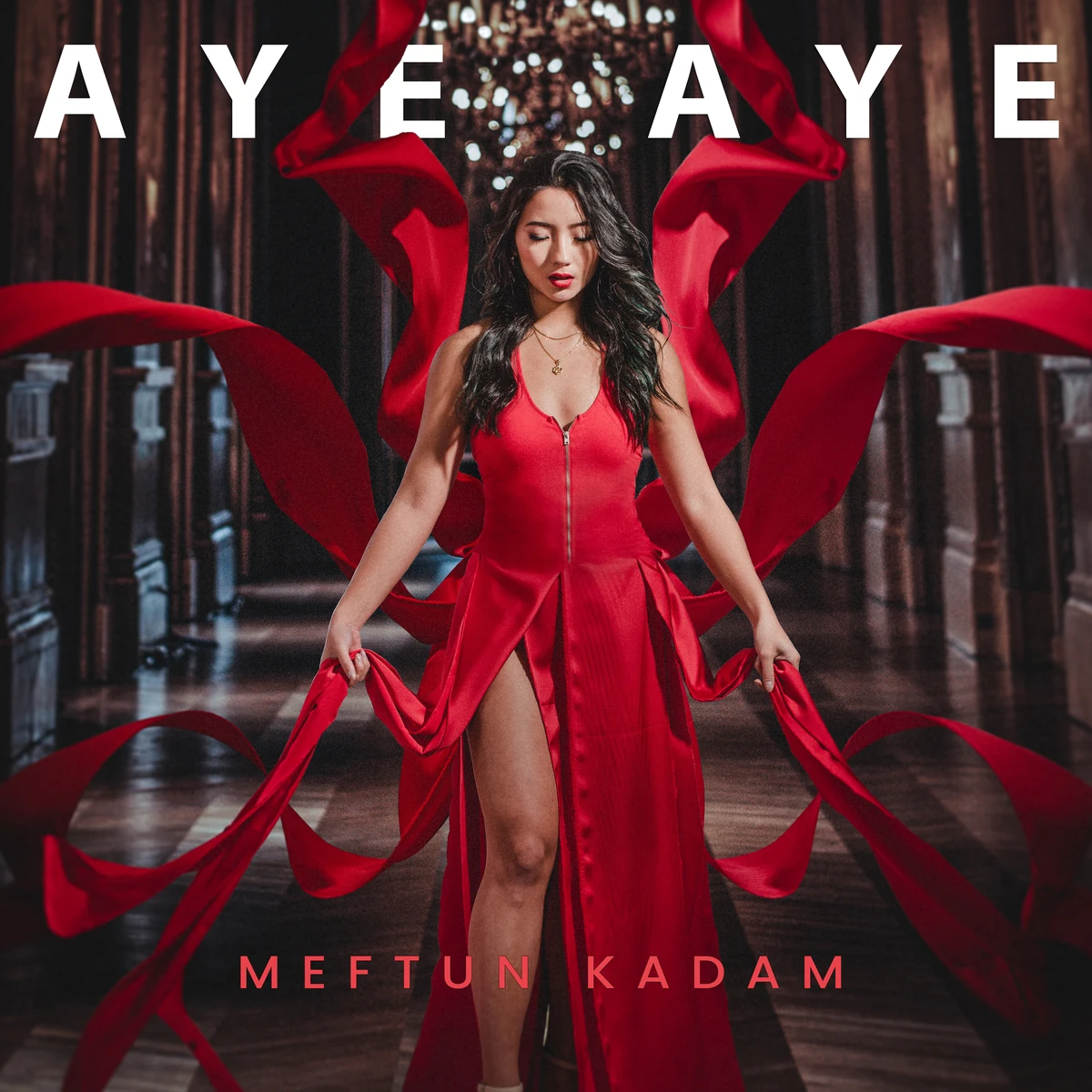 Aye Aye — Meftun Kadam